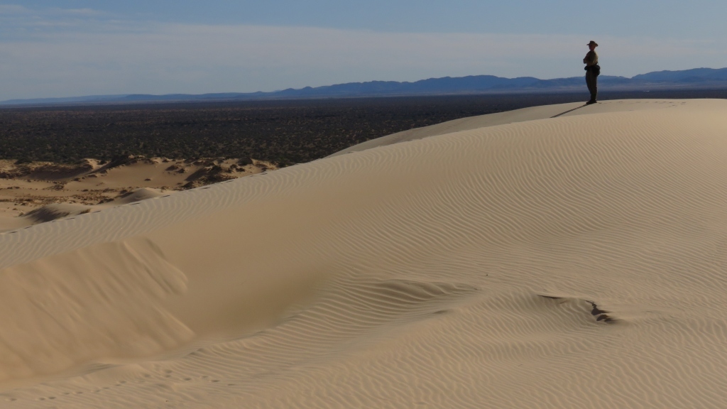 Witsand dune